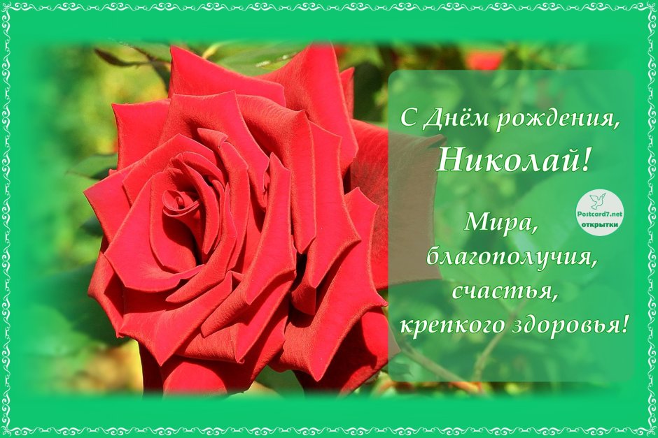 С днём рождения Николай
