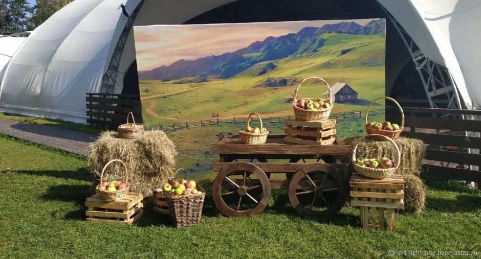 Леди на сельской Ярмарке книга