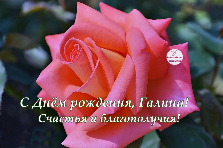 Открытки с днём рождения Злате