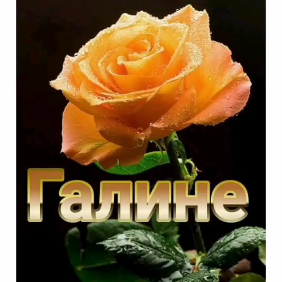 С днём рождения Ангелина