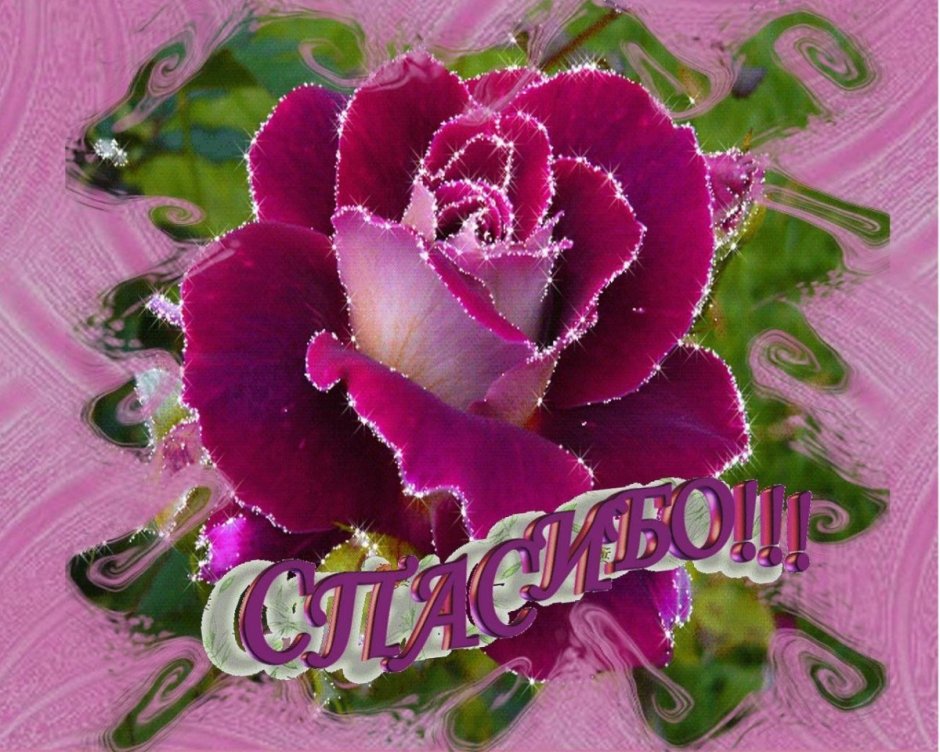 Цветы для Людочки