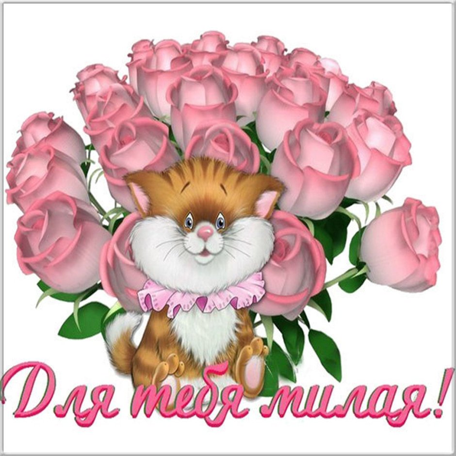 С днём рождения Начтенька