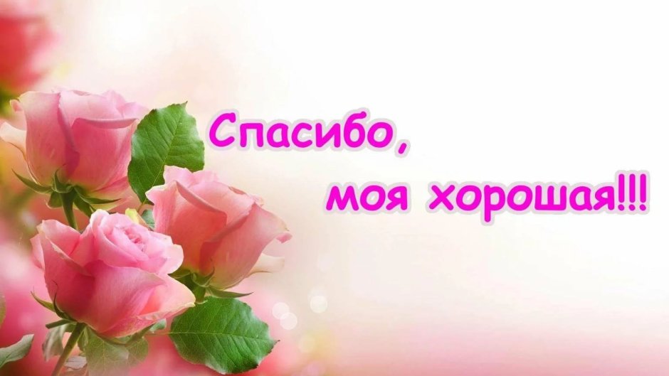 Красивые рисунки поздравления