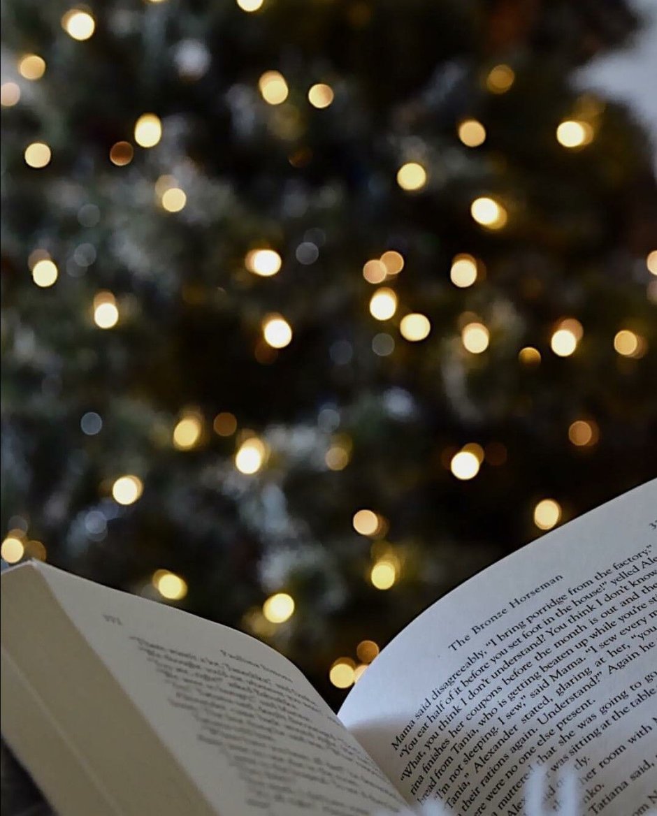 Новый год книги