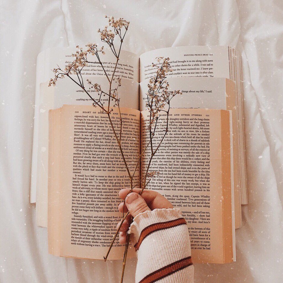 Книги в бежевых тонах