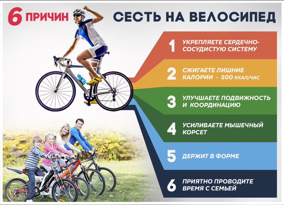 Афоризмы про велосипед