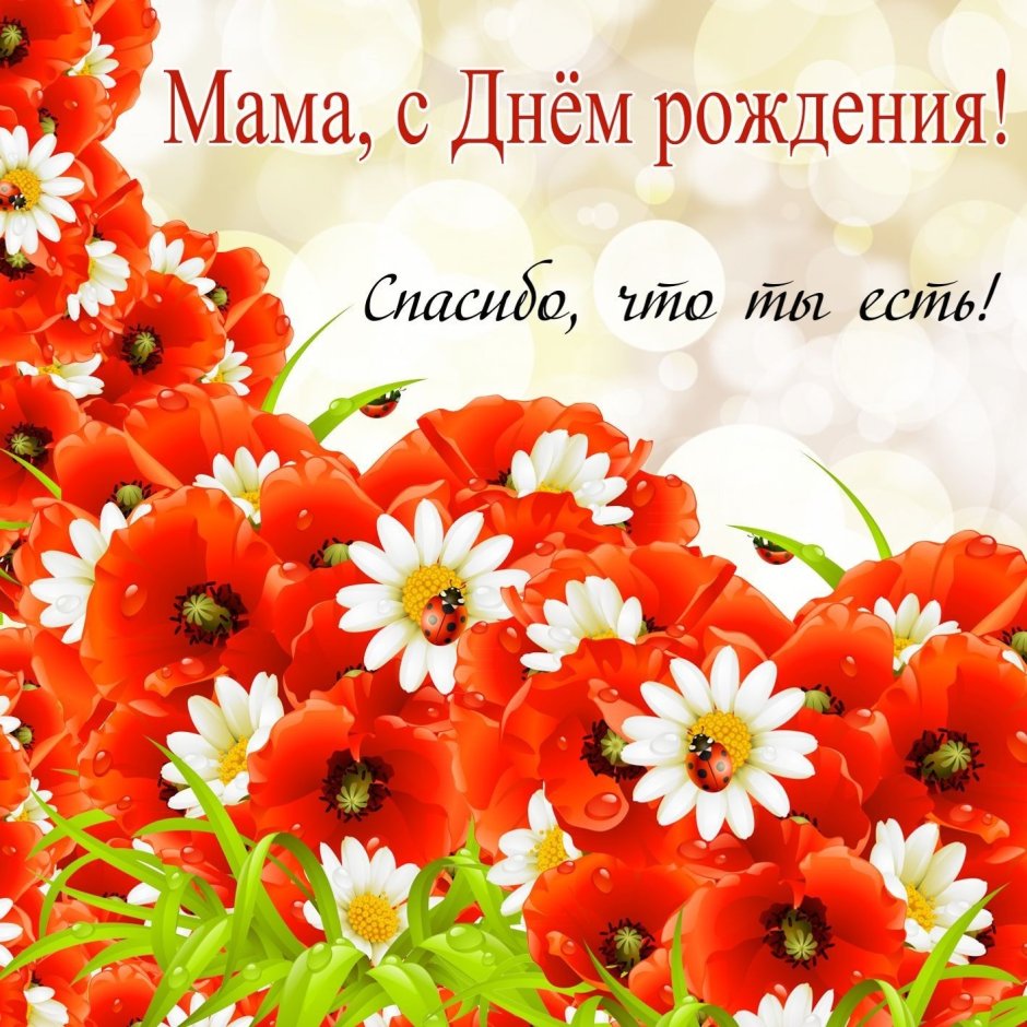 День рождения мамы