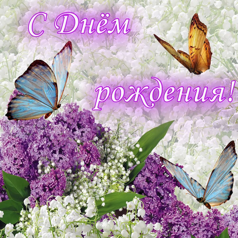 Я люблю Ксюшу