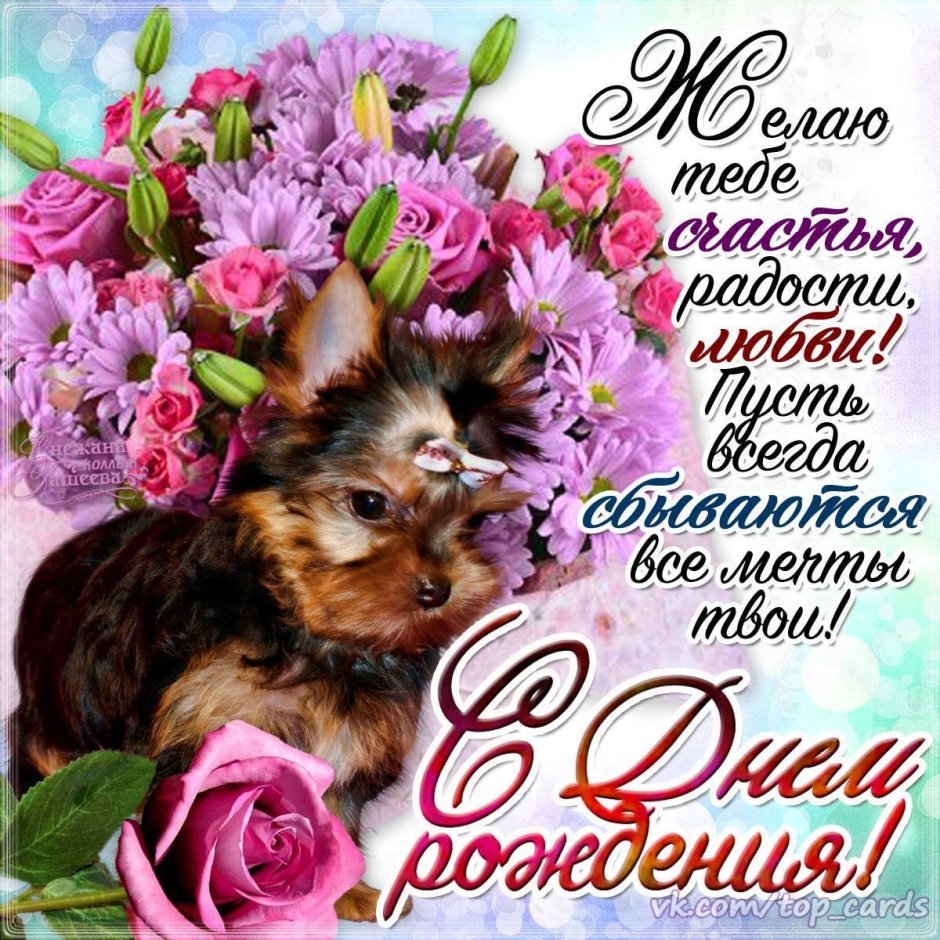 С днём рождения Вероника