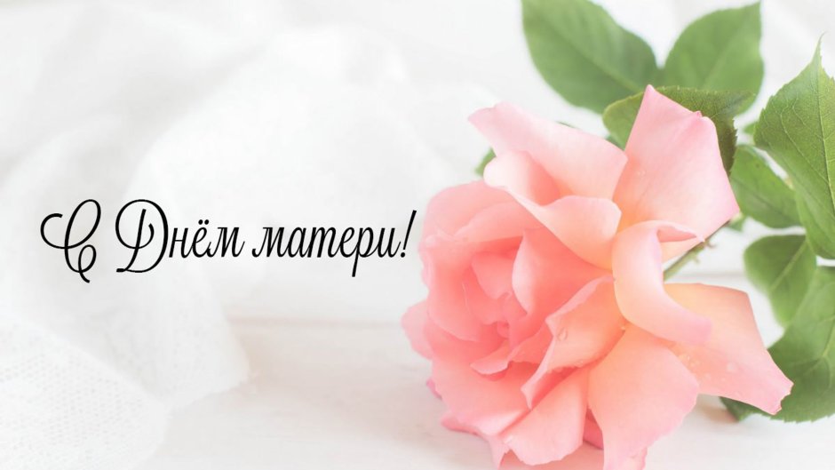 Фон с тюльпанами для текста