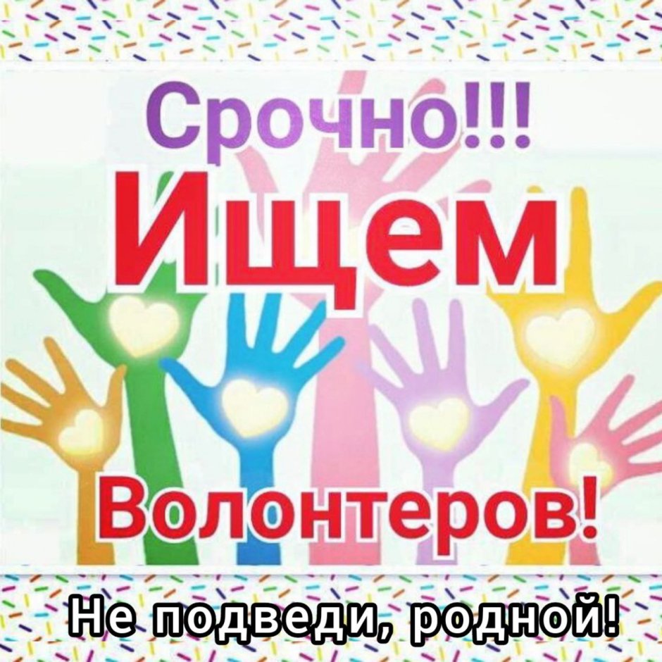 Волонтерская деятельность
