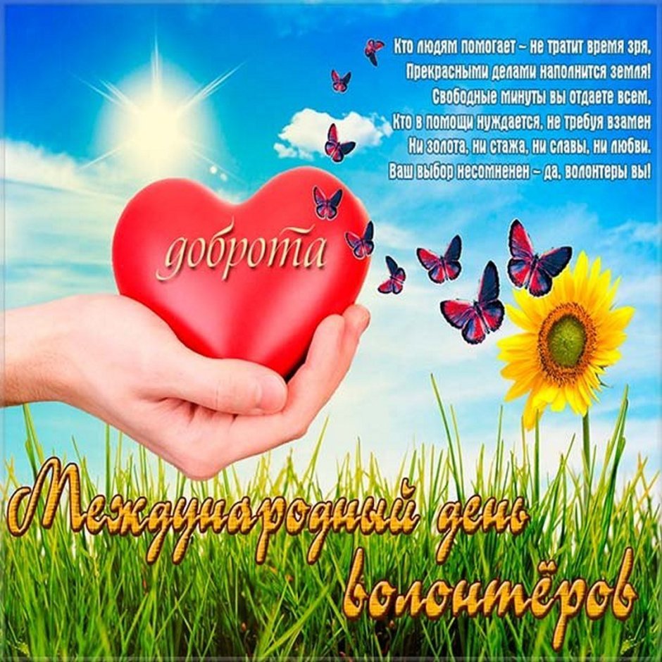 Волонтеры Конституции логотип
