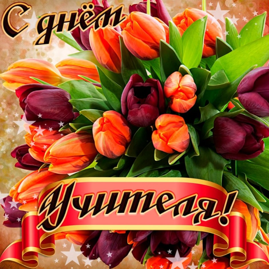 Баннер учитель