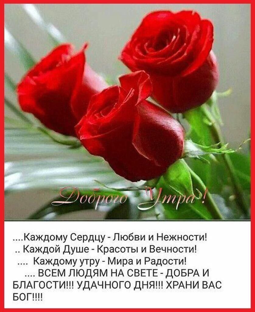Доброе утро с розами и пожеланиями