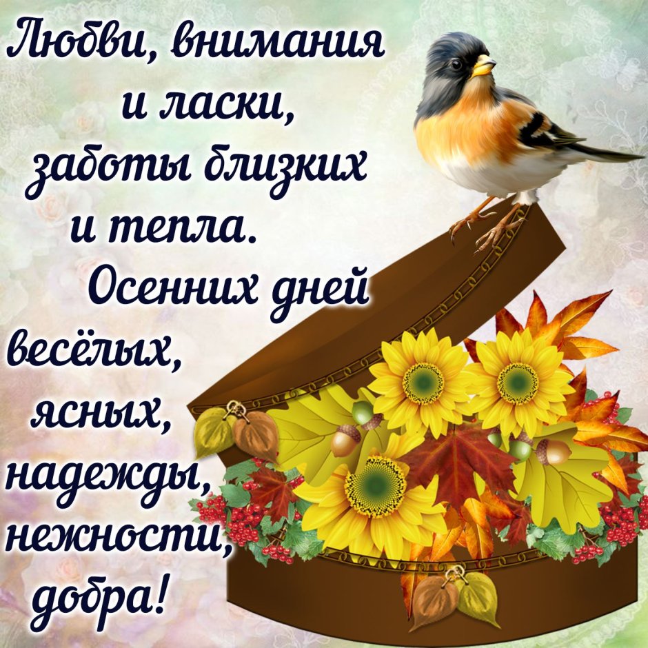 Осень пожелания