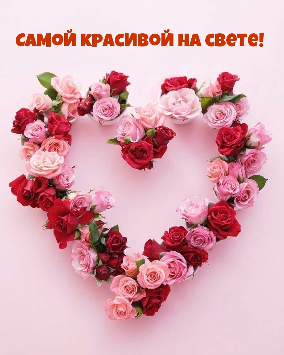 Розовые герберы