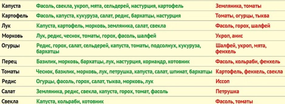 Встраиваемая посудомоечная машина Beko dis 25010