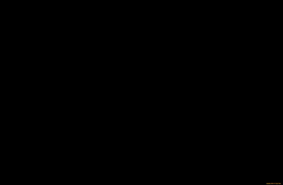 Корзина с цветами