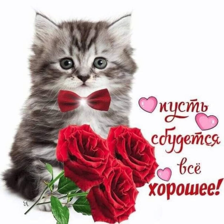 Поздравления с днём рождения женщине