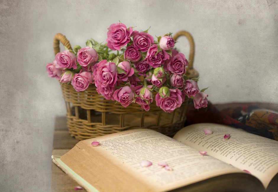 Роза на книге