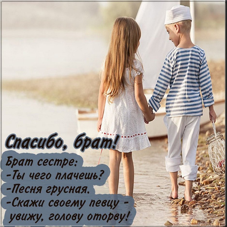 Шикарная корзина цветов