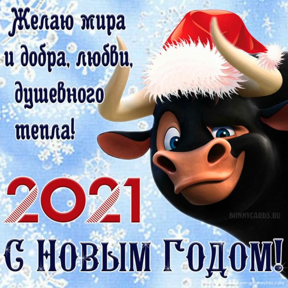 С наступающим новым годом 2021