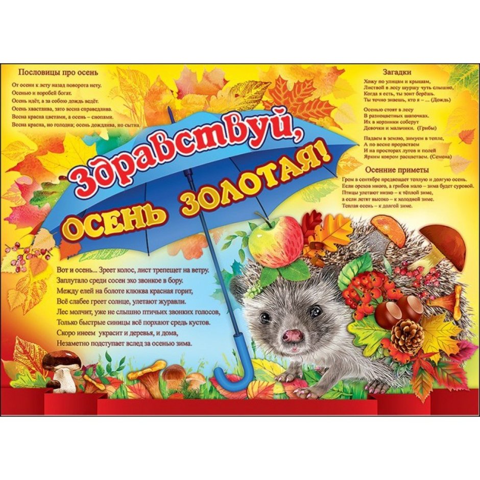 Здравствуй осень Золотая