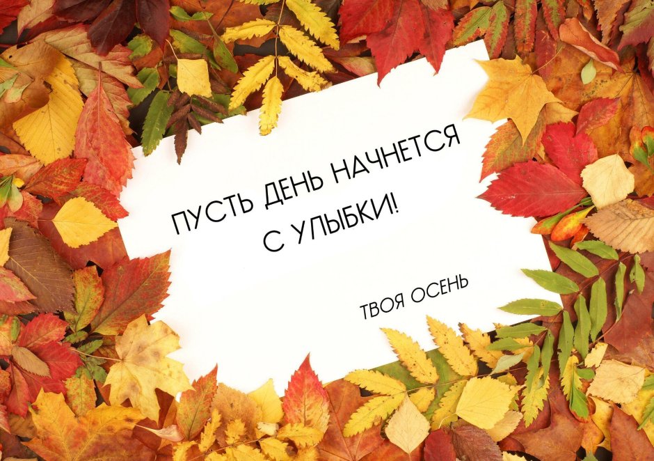 Цитаты про осень