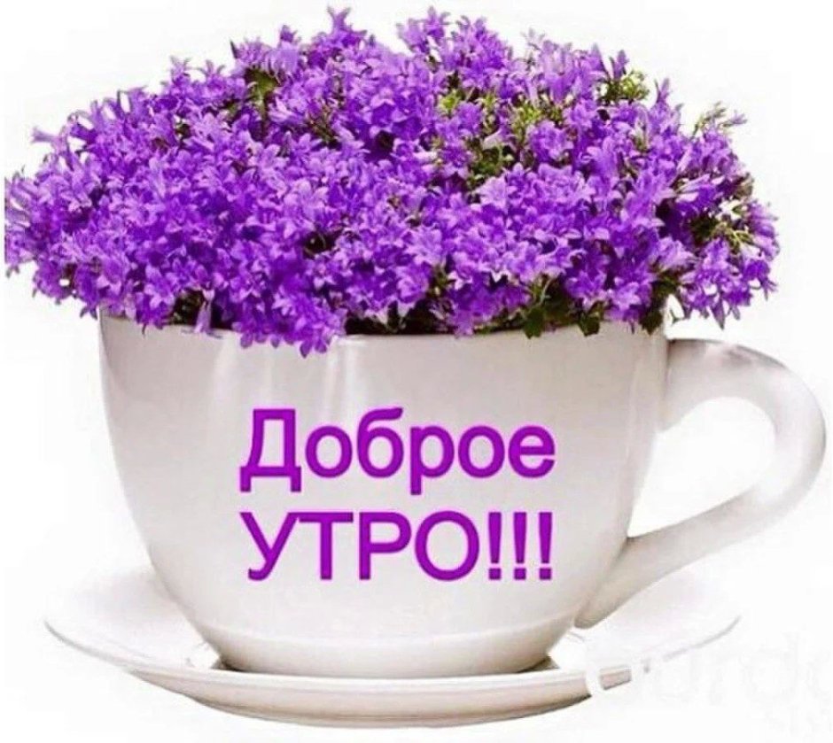 Открытки с добрым утром