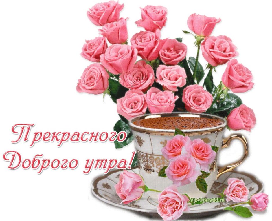 Чудесного утра и отличного настроения