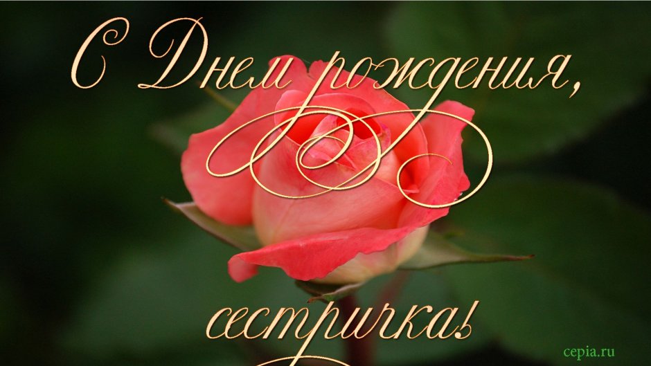 С днём рождения Анжела
