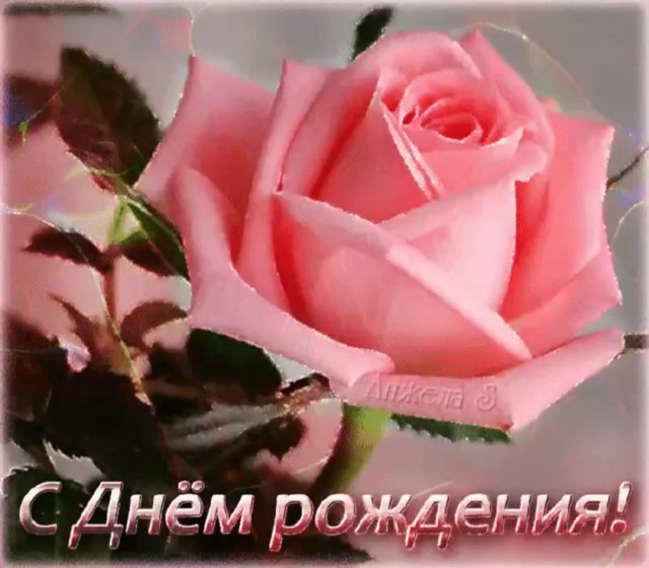 С днём рождения Леночка
