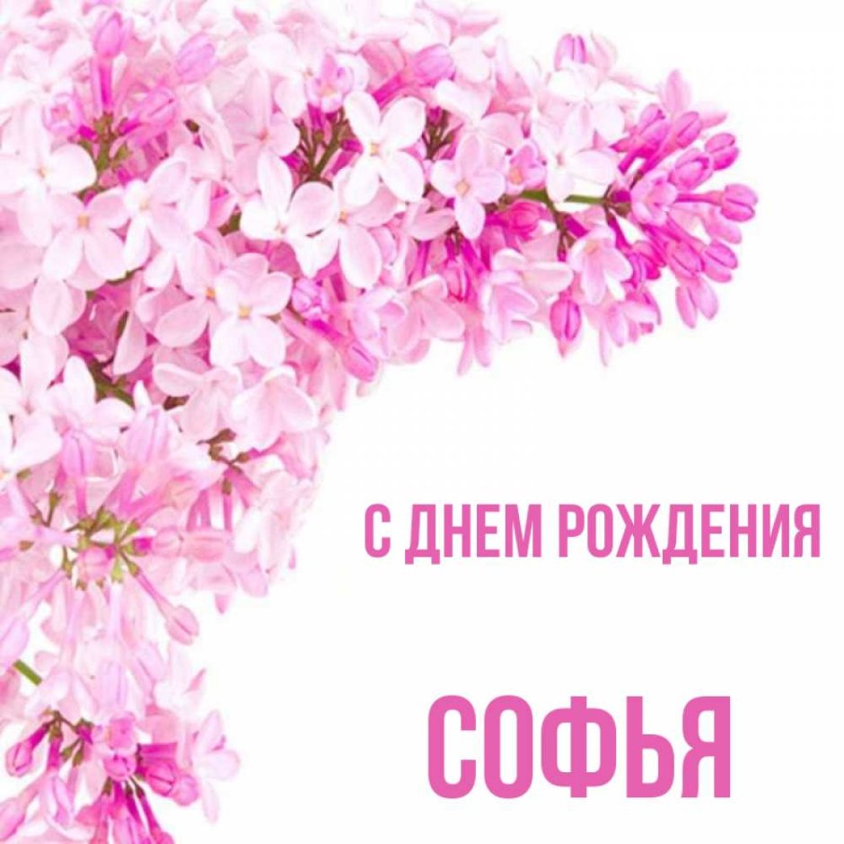 С днём рождения Татьяна Николаевна