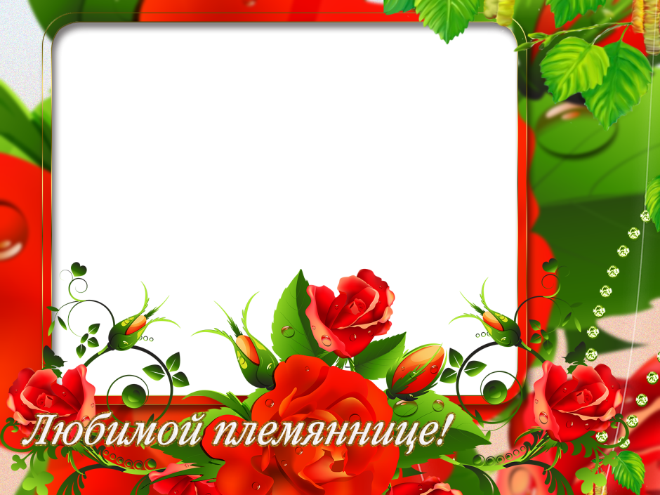 С днём рождения племяннице рамки