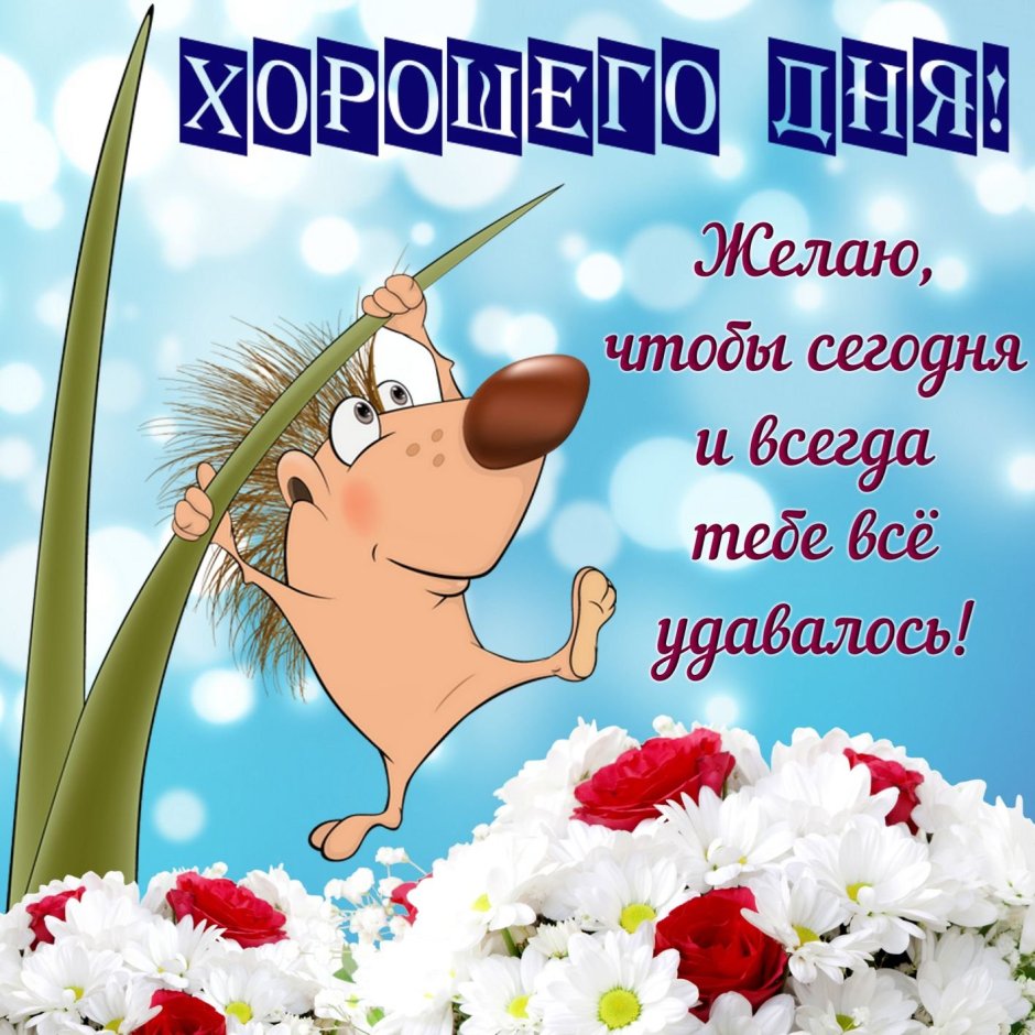 Пожелания доброго дня