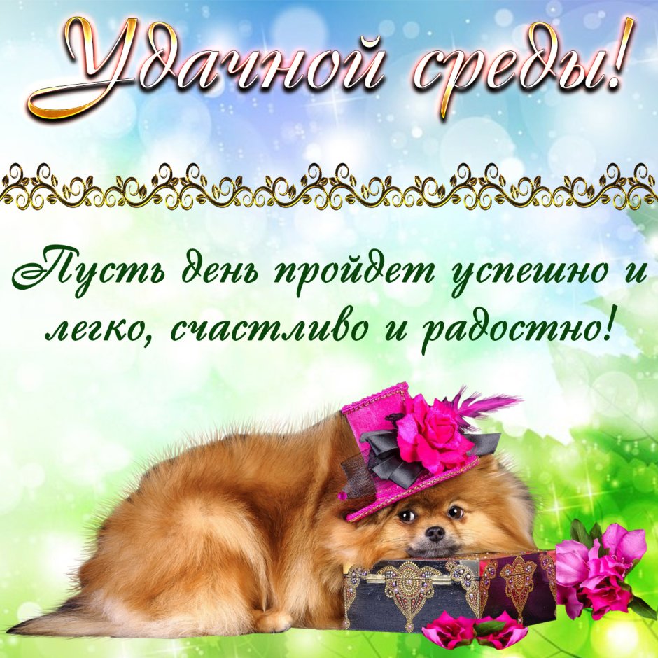 Открытки со средой