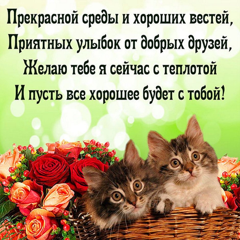 Добрые пожелания