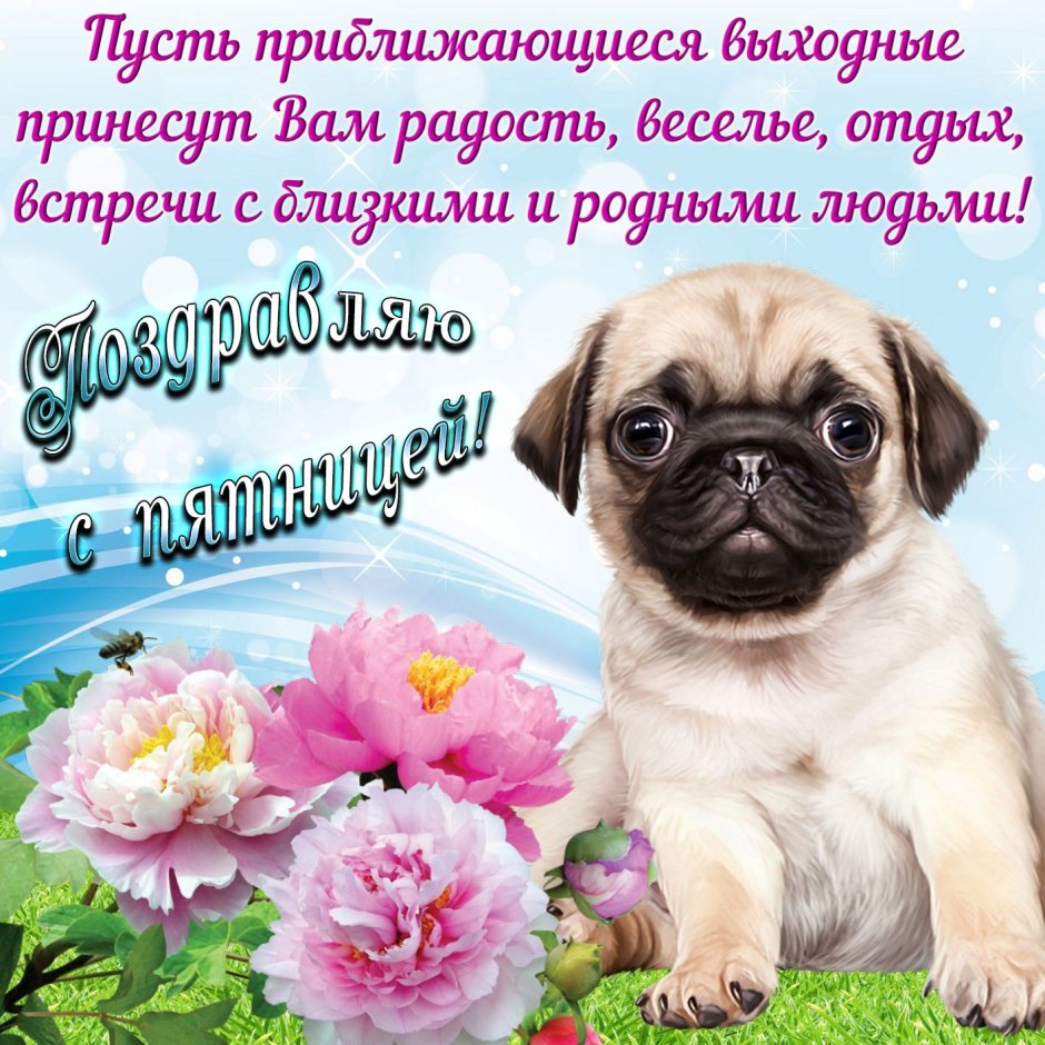 Открытки с пятницей