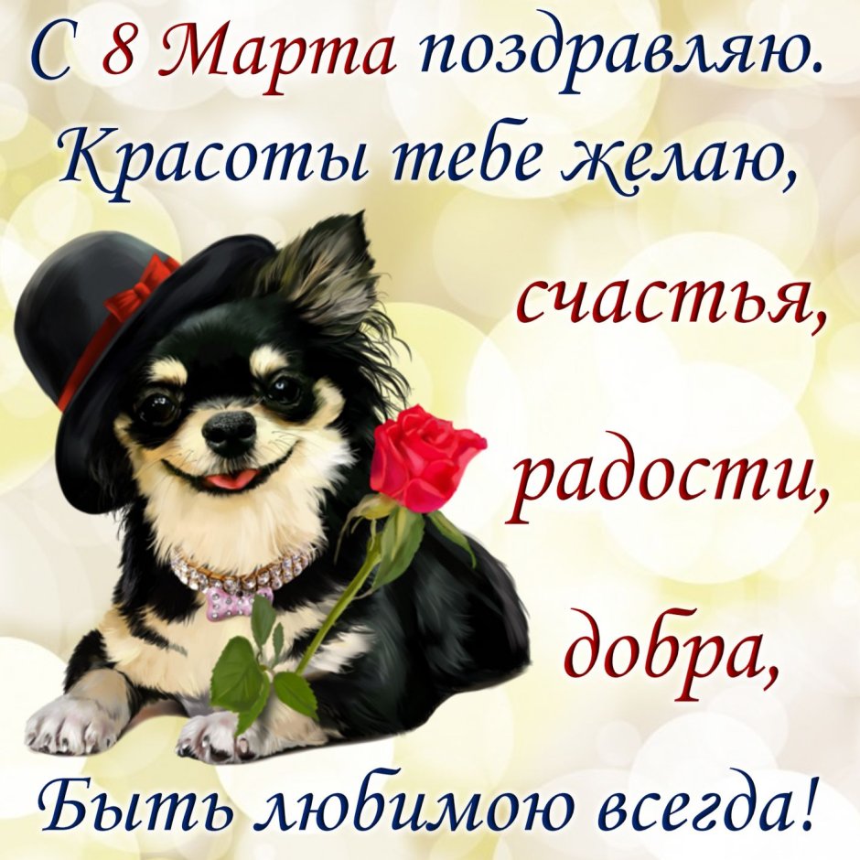 Поздравления с 8 марта с собачками
