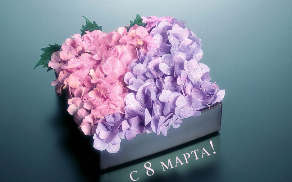 Цветы на 8 марта