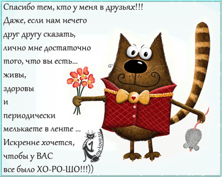 Поздравления на все случаи жизни прикольные