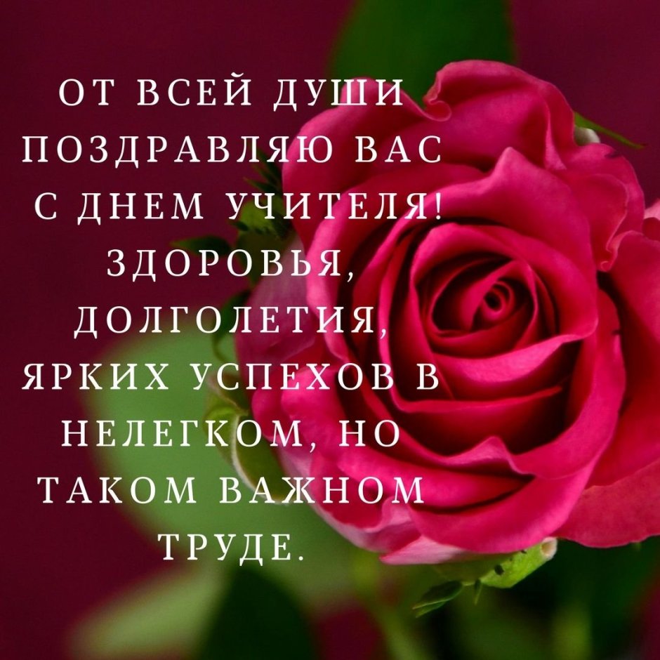 Поздравление с днем учите