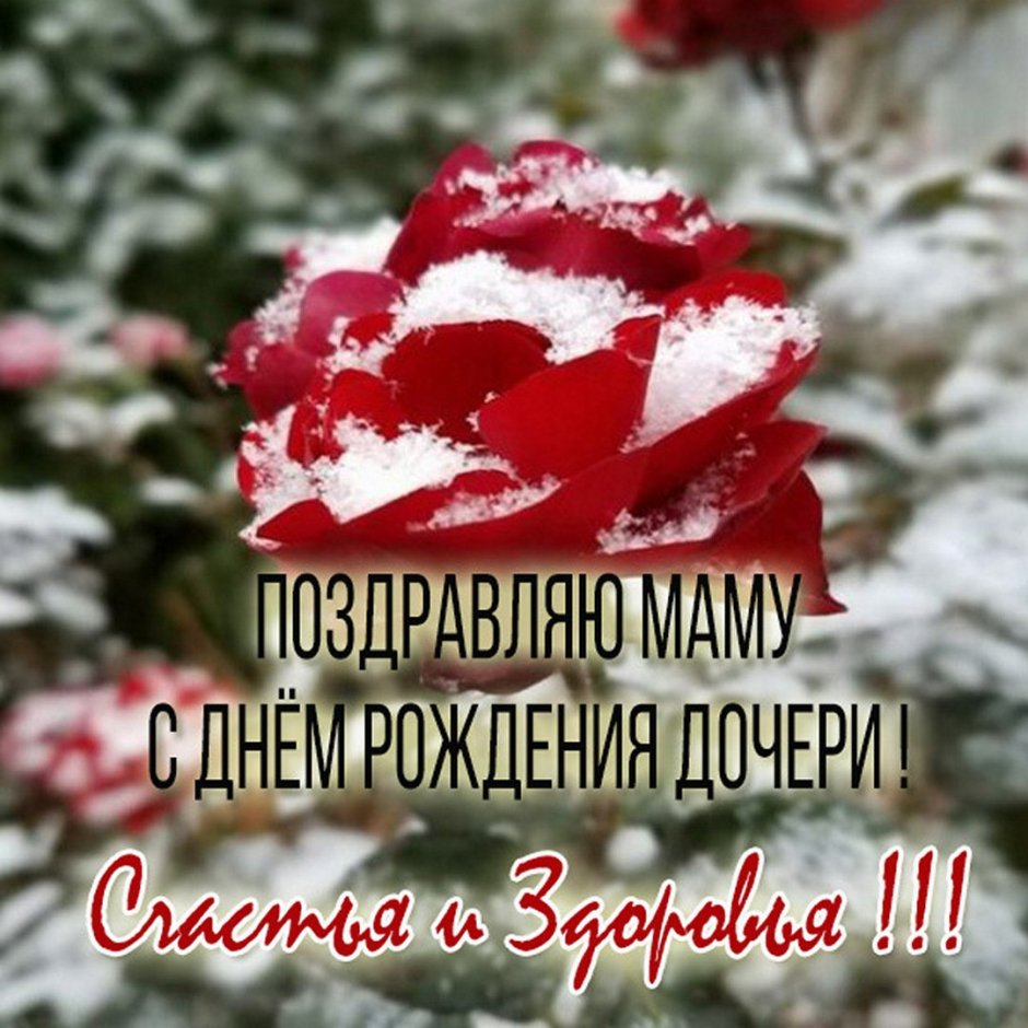 С днём рождения дорери