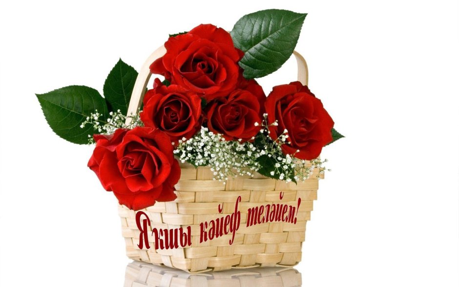 С днём рождения Нпдюша