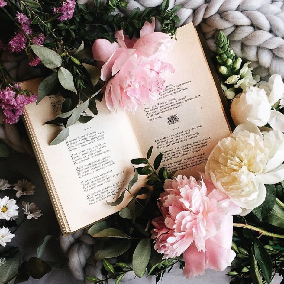 Красивые книги