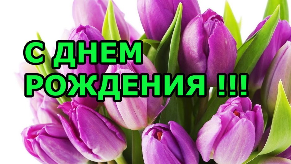 Тюльпаны фон для фотошопа