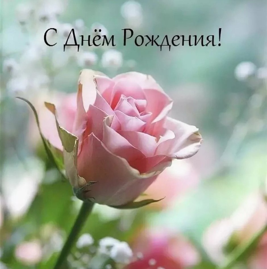 Открытки с именинником