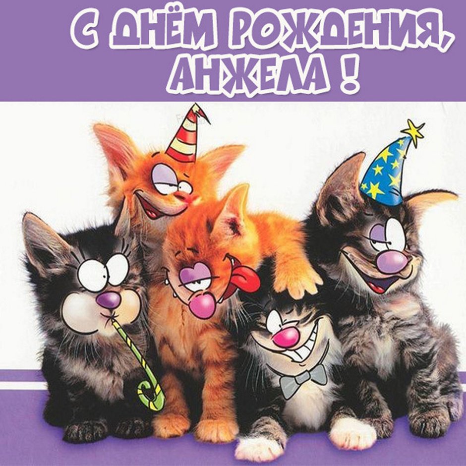 Юмористические поздравления с днем рождения женщине
