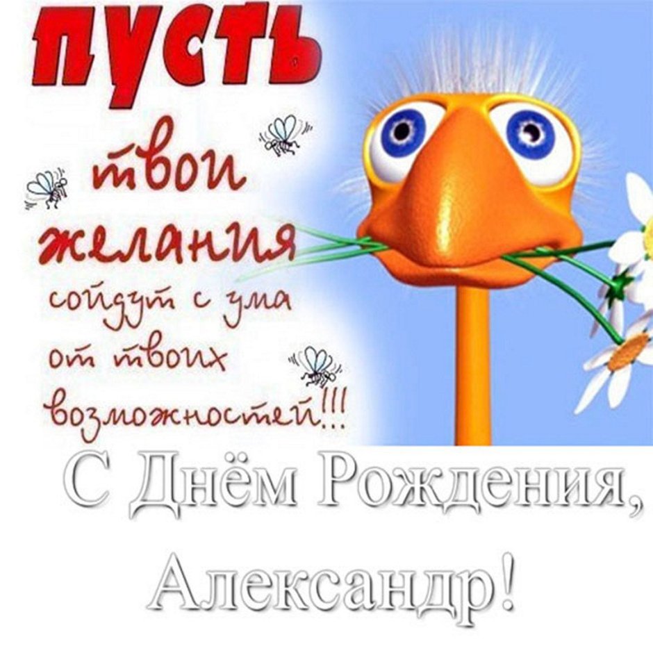 С днем рождения