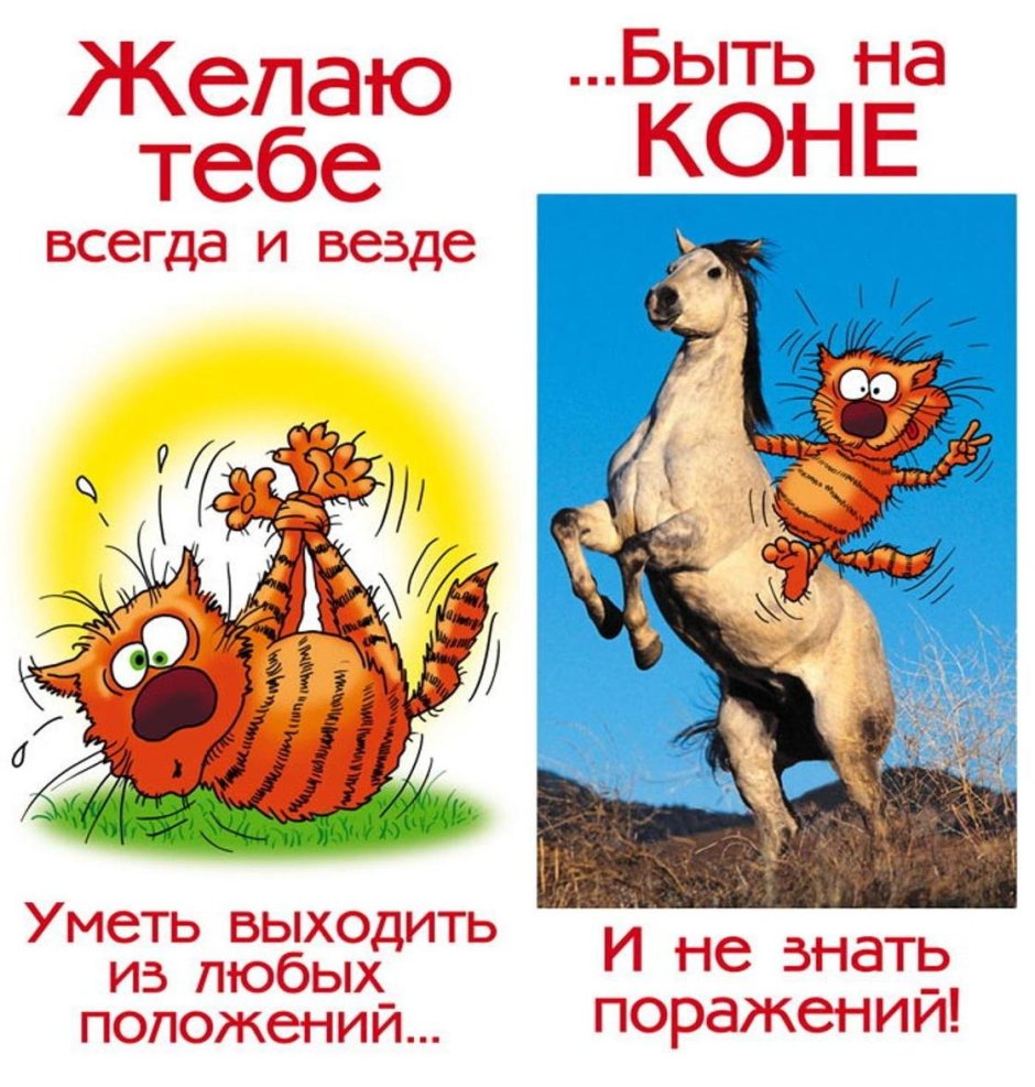 Прикольные открытки с днем рождения